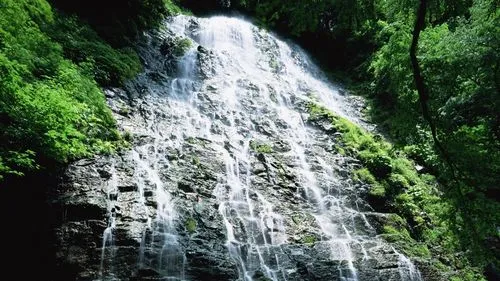 节能科技